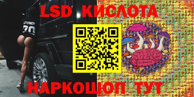гидропоника Кунгур