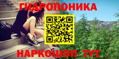 гидропоника Кунгур