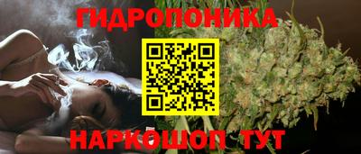 гидропоника Кунгур